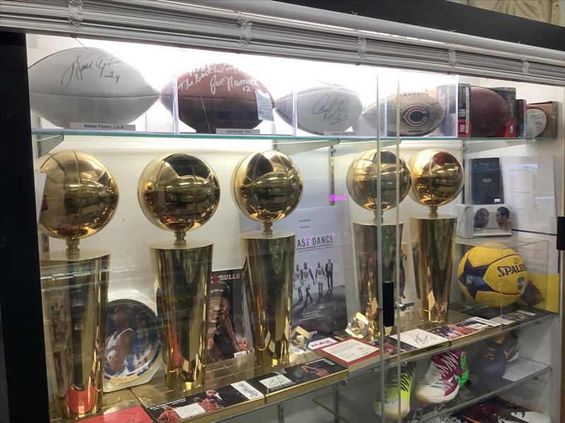 Elite Sports Cards and Comics Chicago, IL